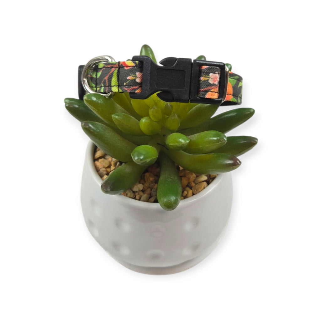 Peach Tree on Black Dots Dog collar (XX-Small)