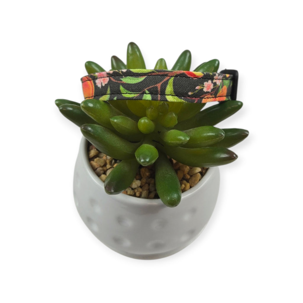 Peach Tree on Black Dots Dog collar (XX-Small)