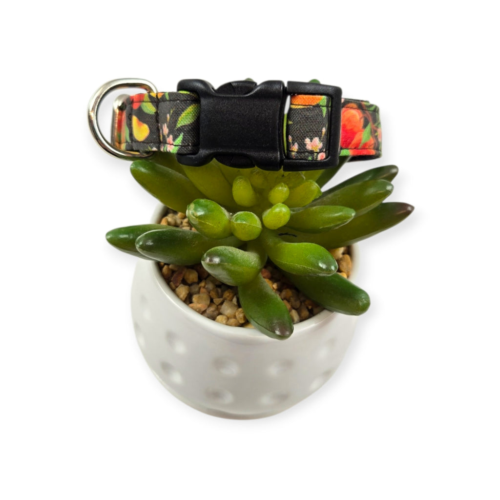 Peach Tree on Black Dog collar (Small)