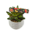 Peach Tree on Black Dog collar (Small)
