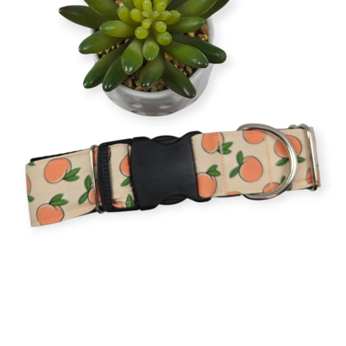 Peaches & Peach Polka Dots Dog Collar (XX-Large, 1.5" wide)