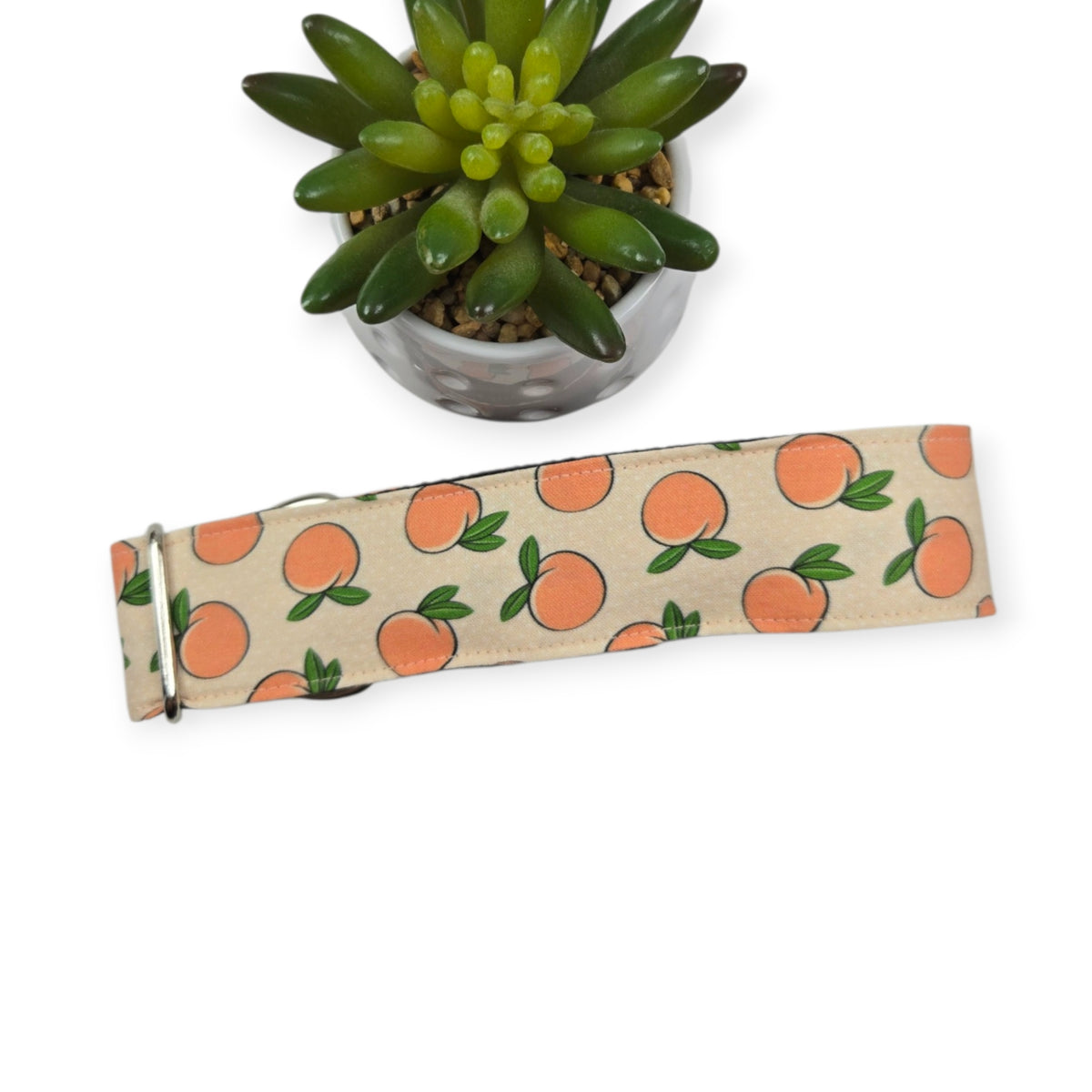 Peaches & Peach Polka Dots Dog Collar (XX-Large, 1.5" wide)