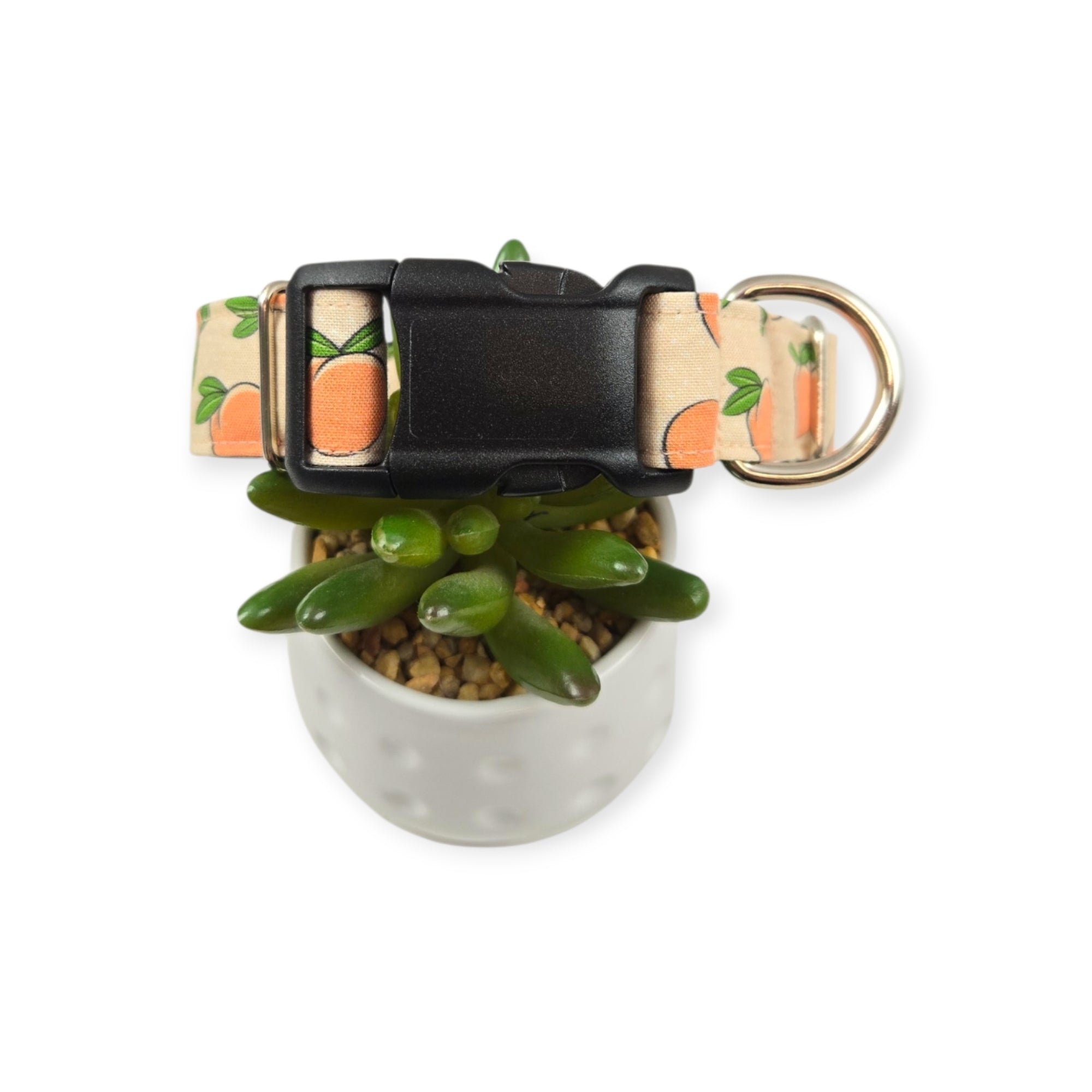 Peaches & Peach Polka Dots Dog Collar (Medium, 1" Wide)