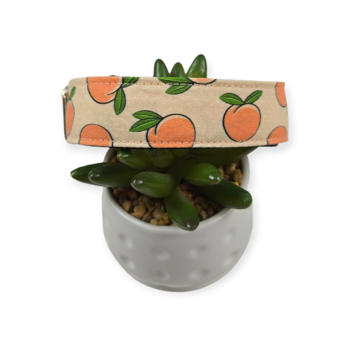 Peaches & Peach Polka Dots Dog collar (Large)