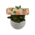 Peaches & Peach Polka Dots Dog Collar (Medium, 1" Wide)