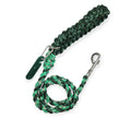 Green With Envy Paracord Rope leash (4')