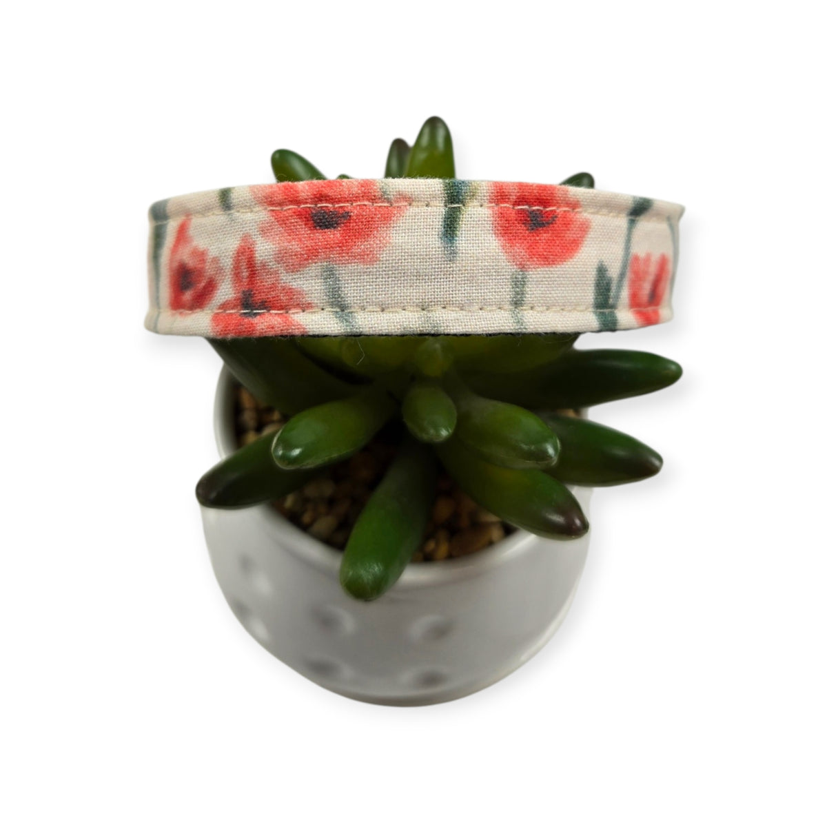 Watercolor Poppies Dog collar (Medium)