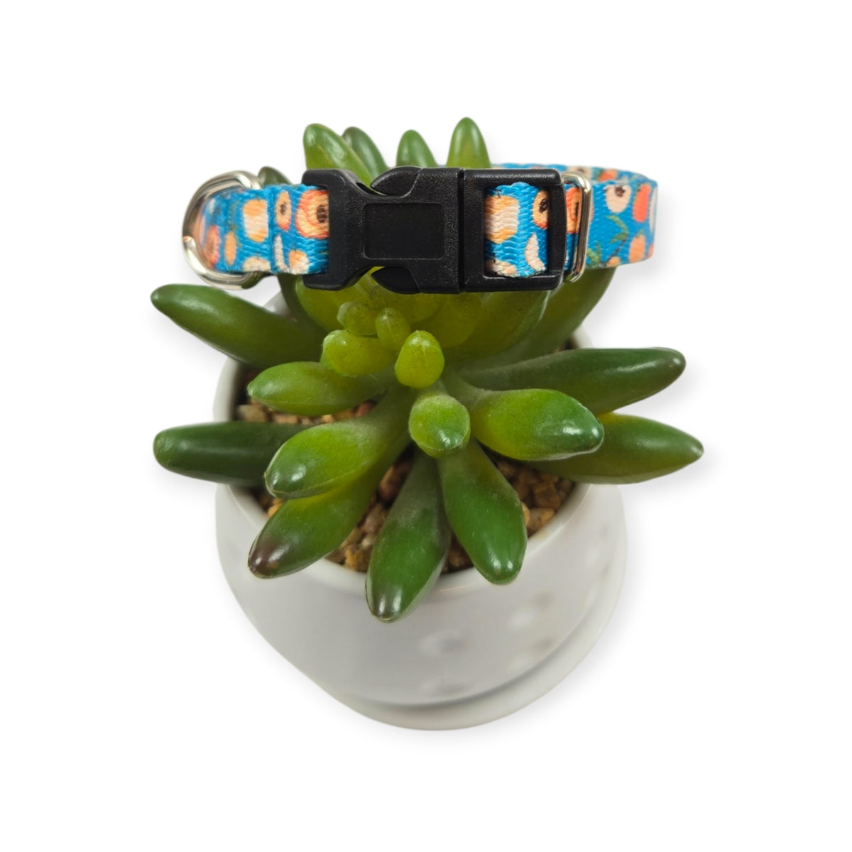 Peaches Dog Collar (X-Small)