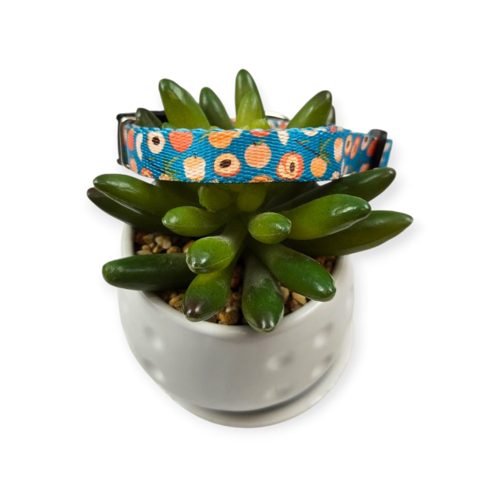 Peaches Kitty Collar (XX-Small)