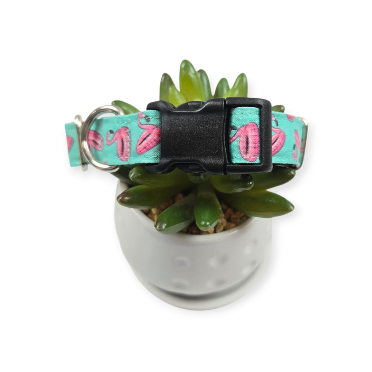 Flamingo Float Toss Dog collar (Medium)