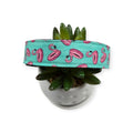 Flamingo Float Toss Dog collar (Large)