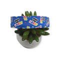What The Bark? Dog Collar (Large)