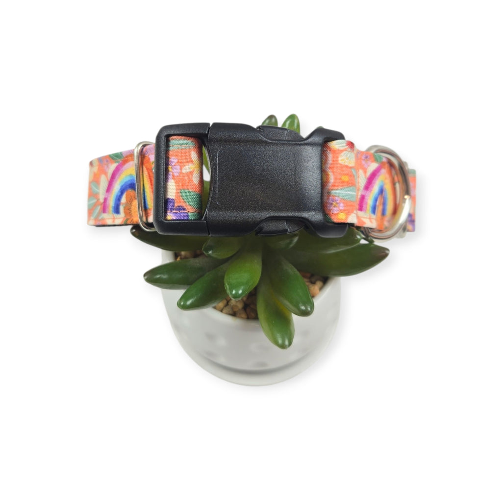 Aloha Dog Collar (Medium, 1" Wide)