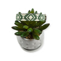 Green Aztec Dog collar (Small)