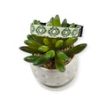 Green Aztec Dog collar (XX-Small)