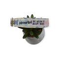 Introverted But Willing To Accept Treats Dog Collar (Large) #2