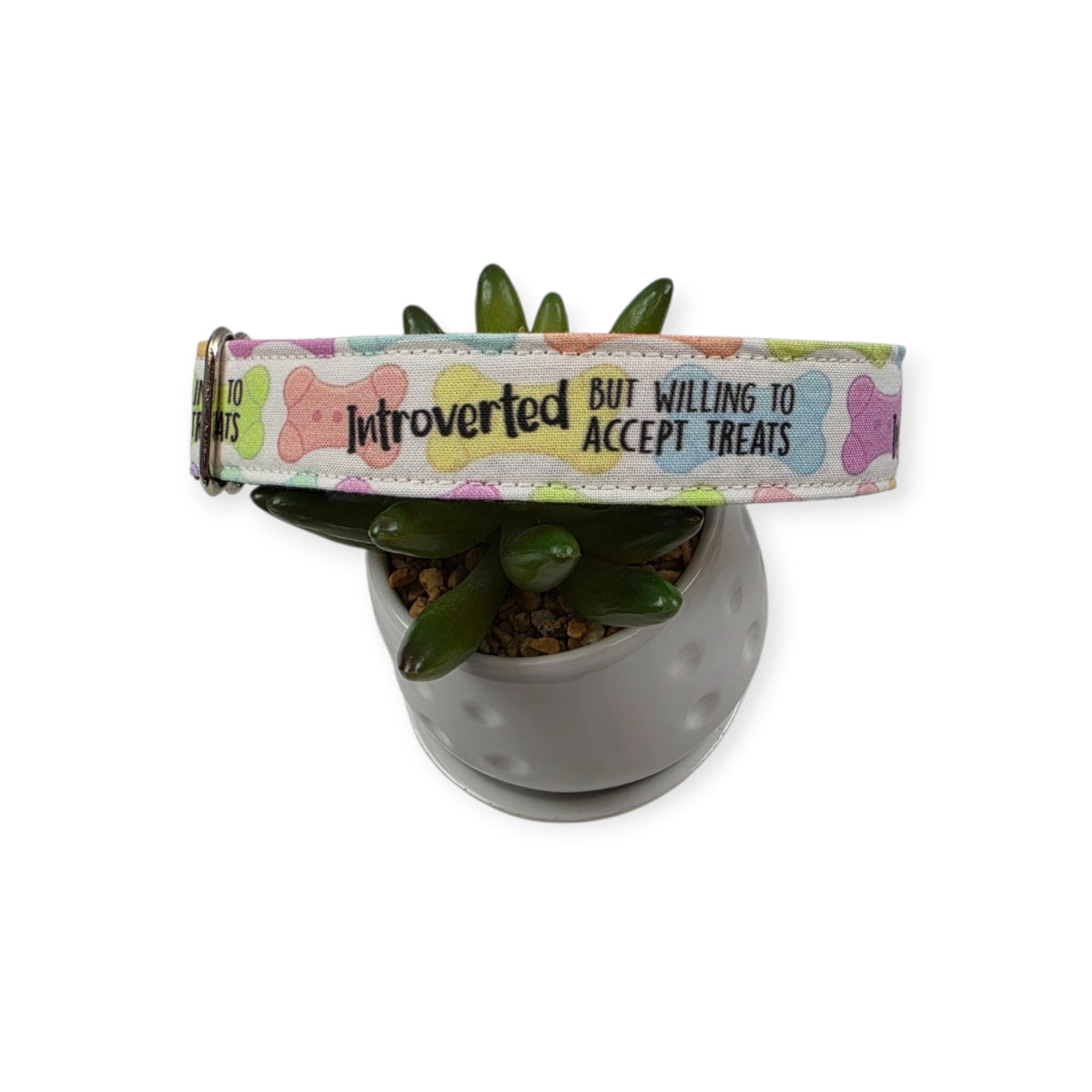 Introverted But Willing To Accept Treats Dog Collar (Large) #1