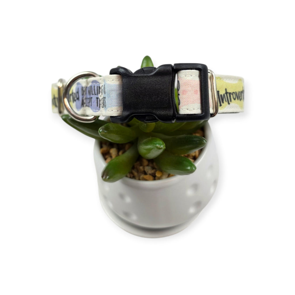 Introverted But Willing To Accept Treats Dog Collar (Small, 3/4" wide) #2