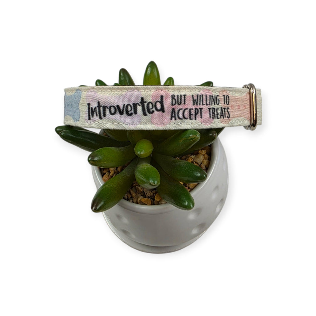 Introverted But Willing To Accept Treats Dog Collar (Small, 3/4" wide) #2