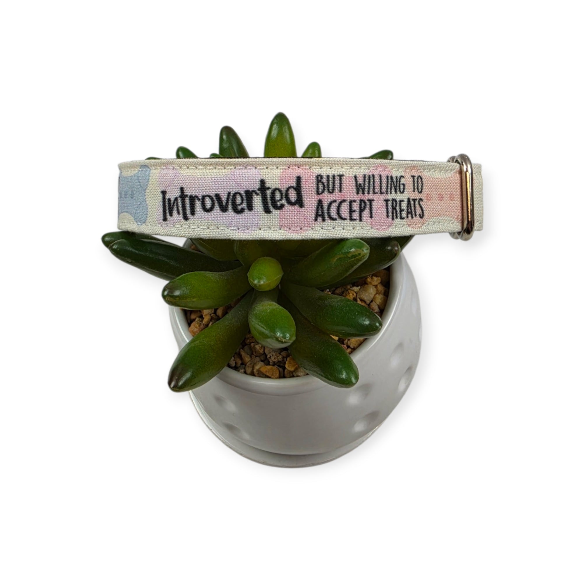 Introverted But Willing To Accept Treats Dog Collar (Small, 3/4" wide) #2