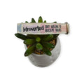 Introverted But Willing To Accept Treats Dog Collar (Medium) #2