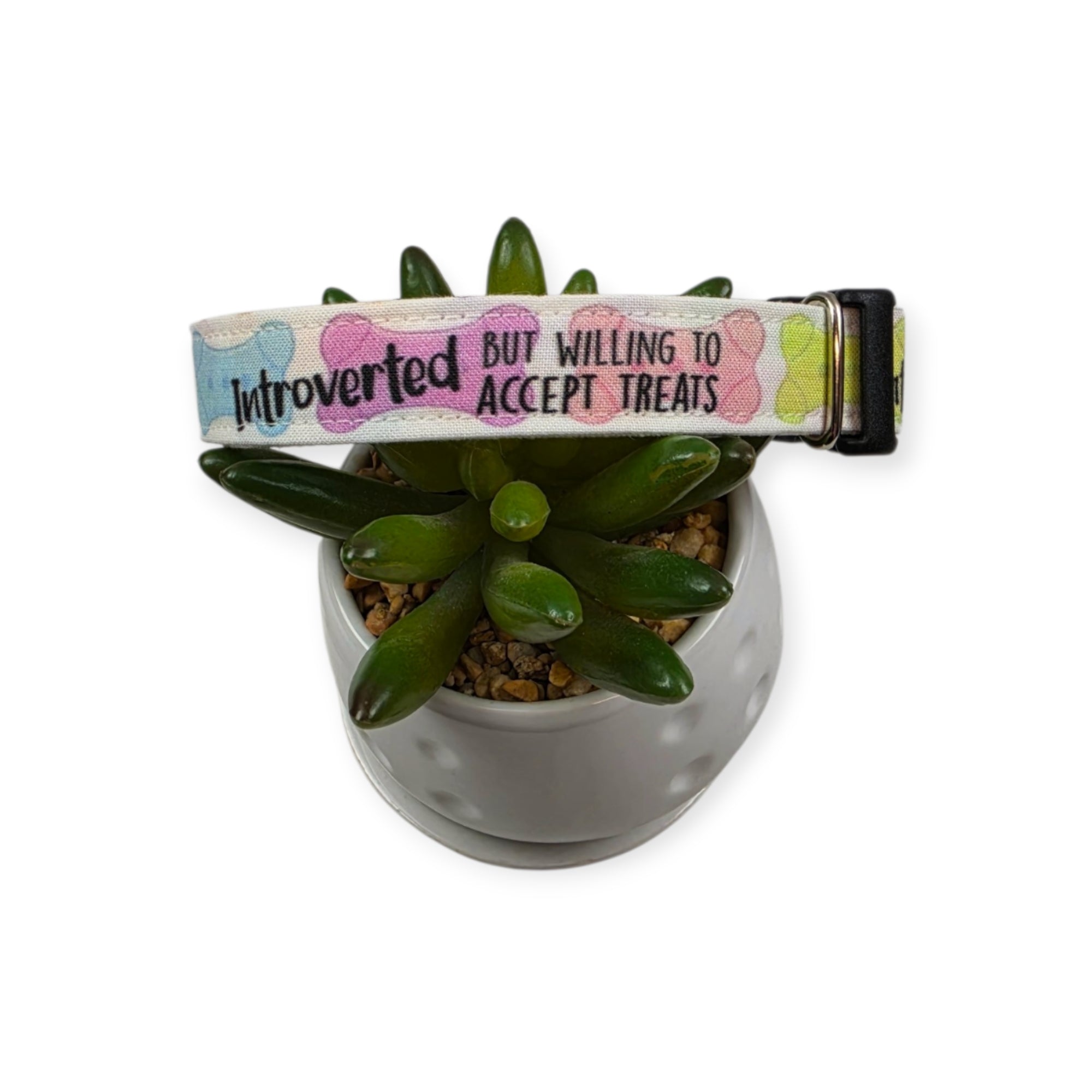 Introverted But Willing To Accept Treats Dog Collar (Medium) #1