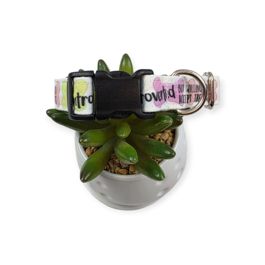 Introverted But Willing To Accept Treats Dog Collar (Medium) #1
