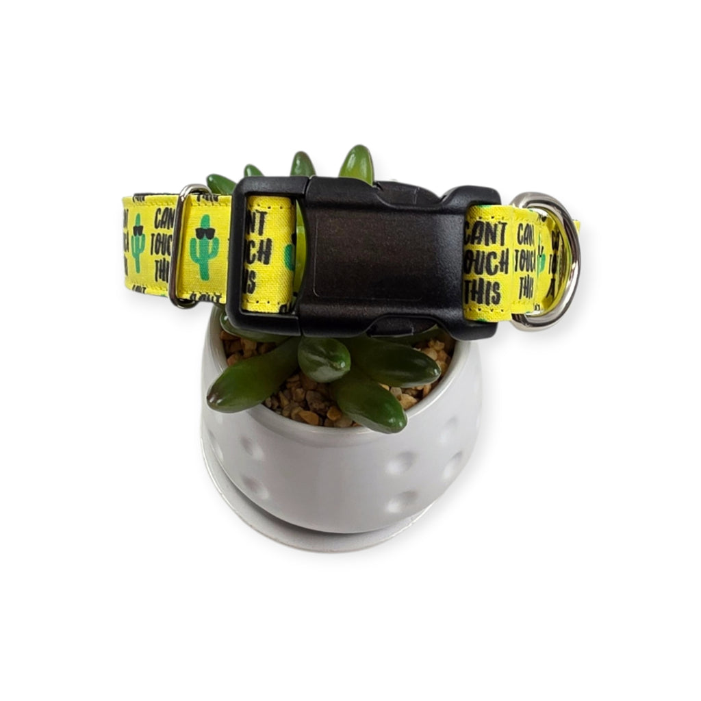 Can't Touch This Dog Collar (Medium, 1" wide)