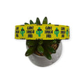 Can't Touch This Dog collar (Large)