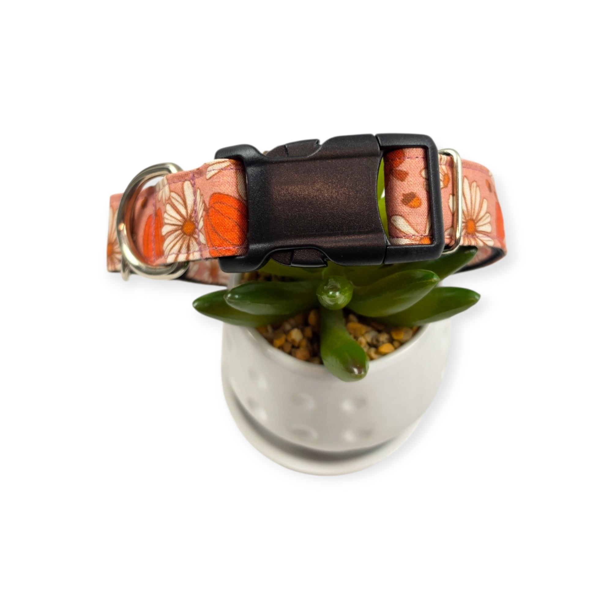 Daisy Pumpkins Dog Collar (Medium, 1" wide)