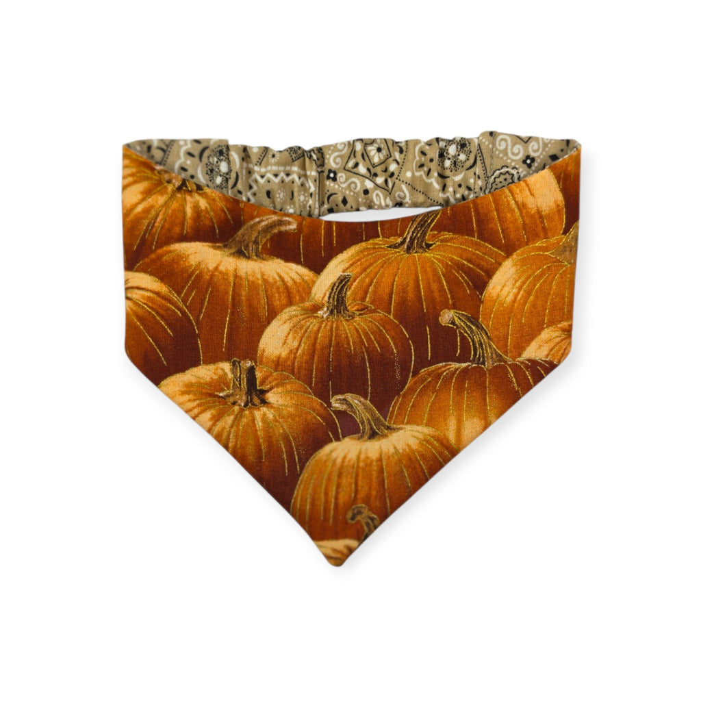 Pumpkin Patch/Tan Paisley Reversible Slip-on Scrunchie Bandana (Small/Medium)