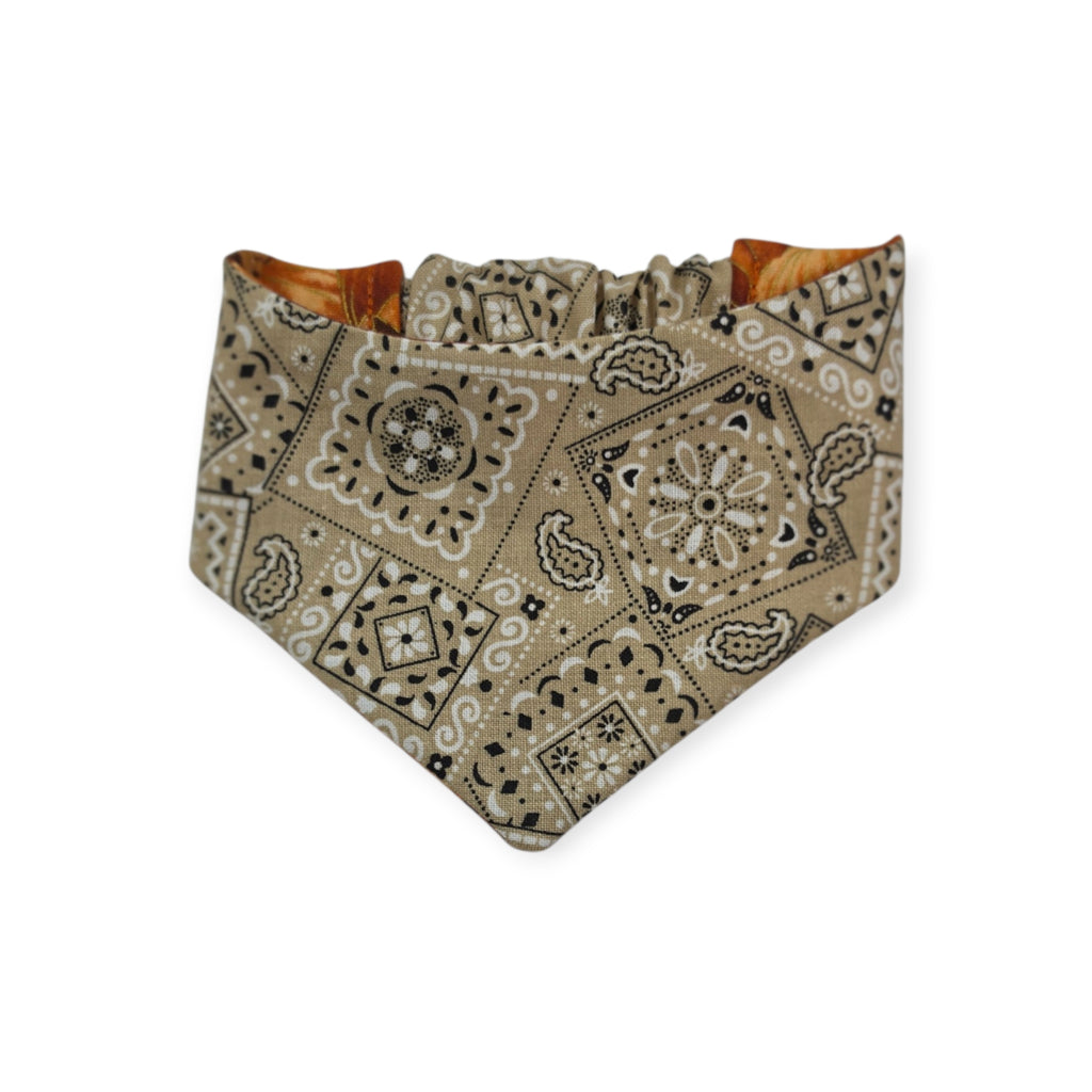 Pumpkin Patch/Tan Paisley Reversible Slip-on Scrunchie Bandana (X-Small/Small)