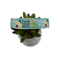 Floral Fuck This Shit Dog Collar (Medium, 1" wide)
