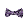 Halloween Cats and Ghosts Bowtie - 3"