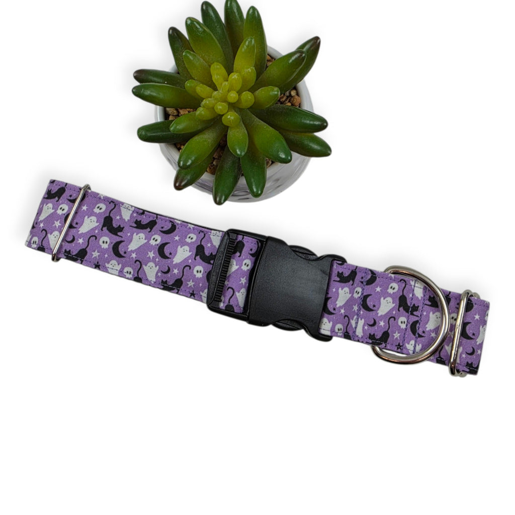 Halloween Cats and Ghosts Dog Collar (XX-Large, 1.5" wide)