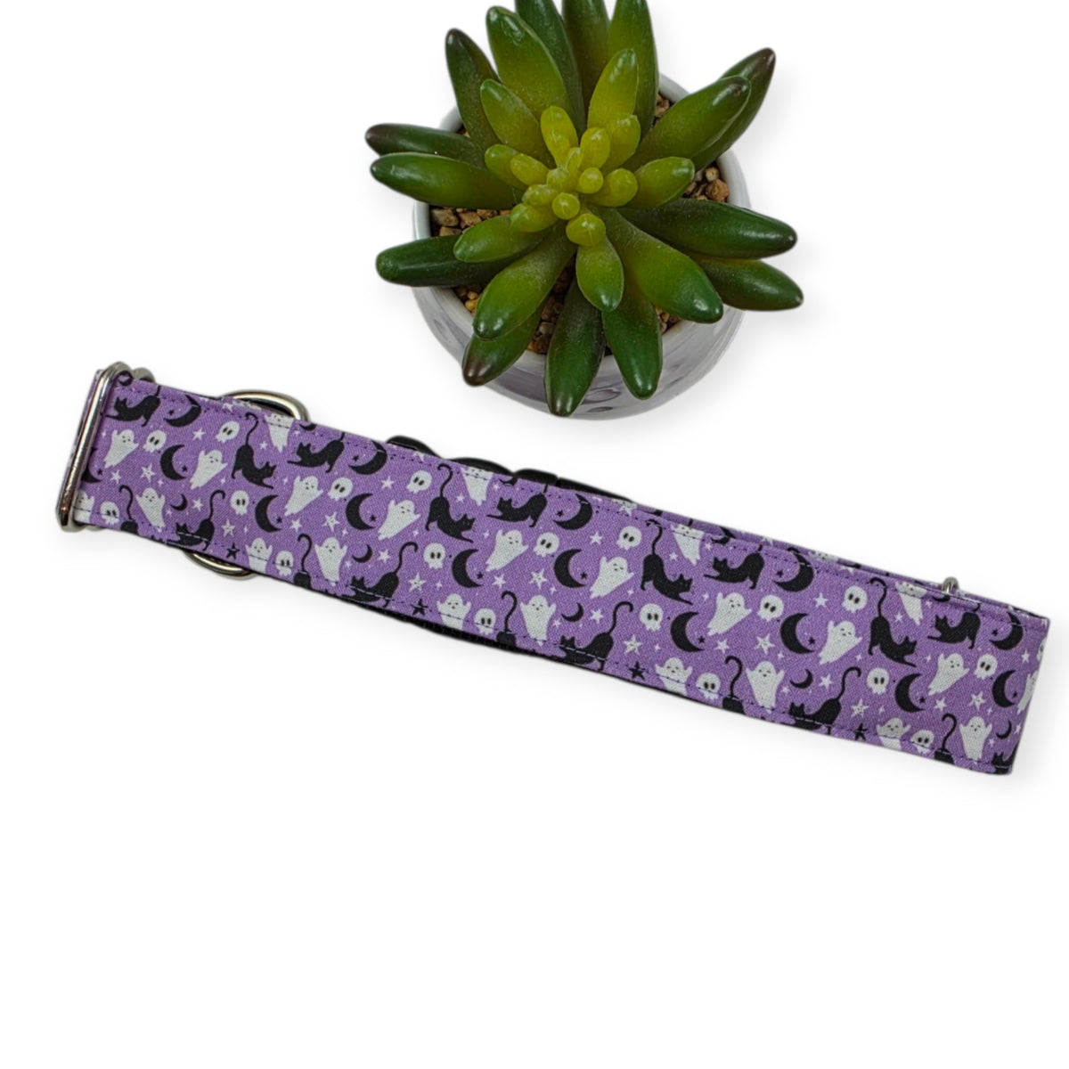 Halloween Cats and Ghosts Dog Collar (XX-Large, 1.5" wide)