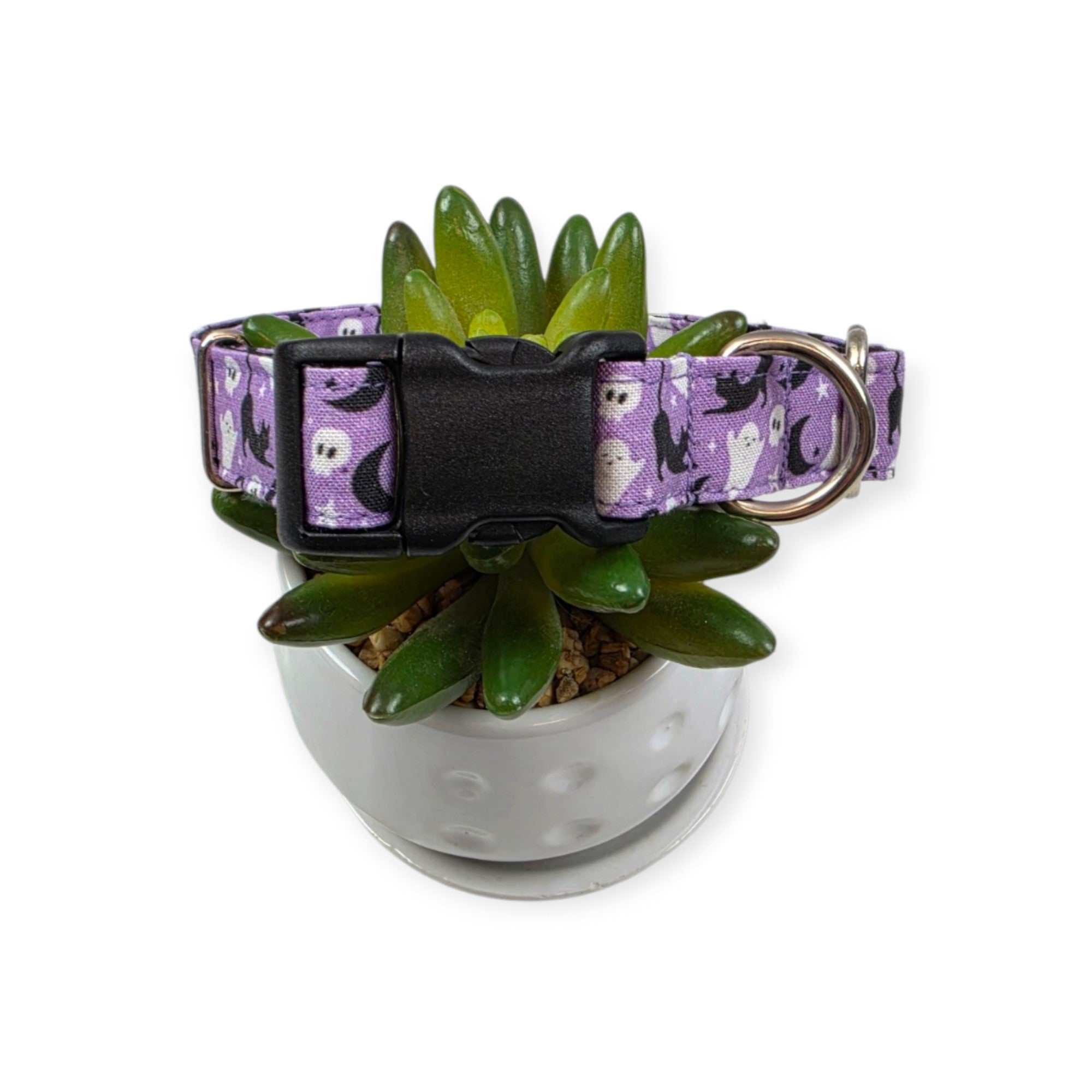 Halloween Cats and Ghosts Dog Collar (Medium)