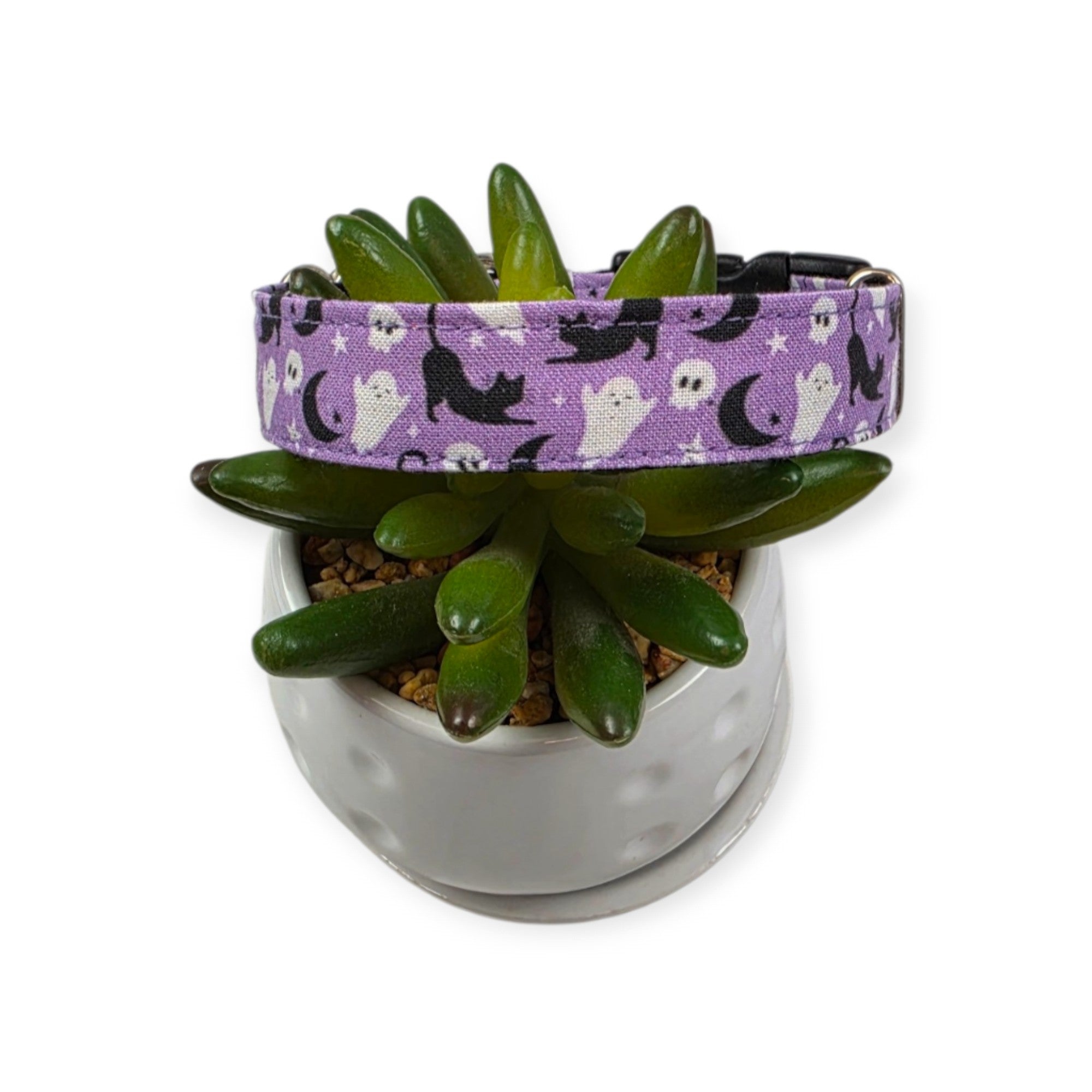 Halloween Cats and Ghosts Dog Collar (Medium)