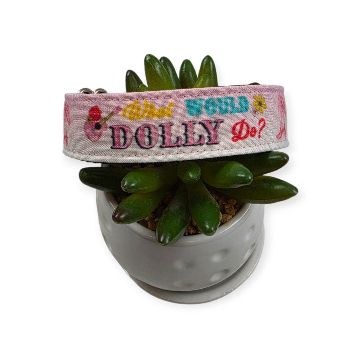 What Would Dolly Do? Dog Collar (Medium, 1" wide)