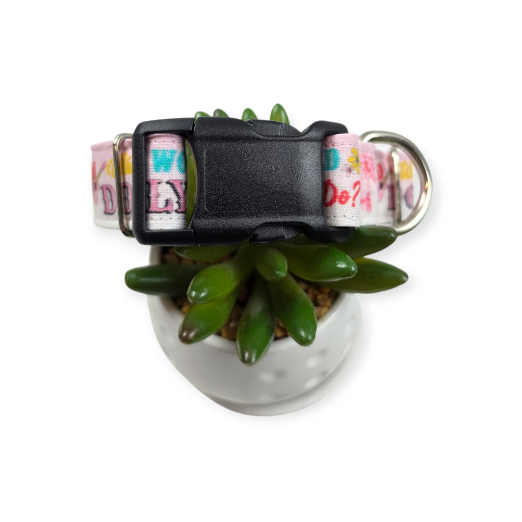 What Would Dolly Do? Dog Collar (Medium, 1" wide)