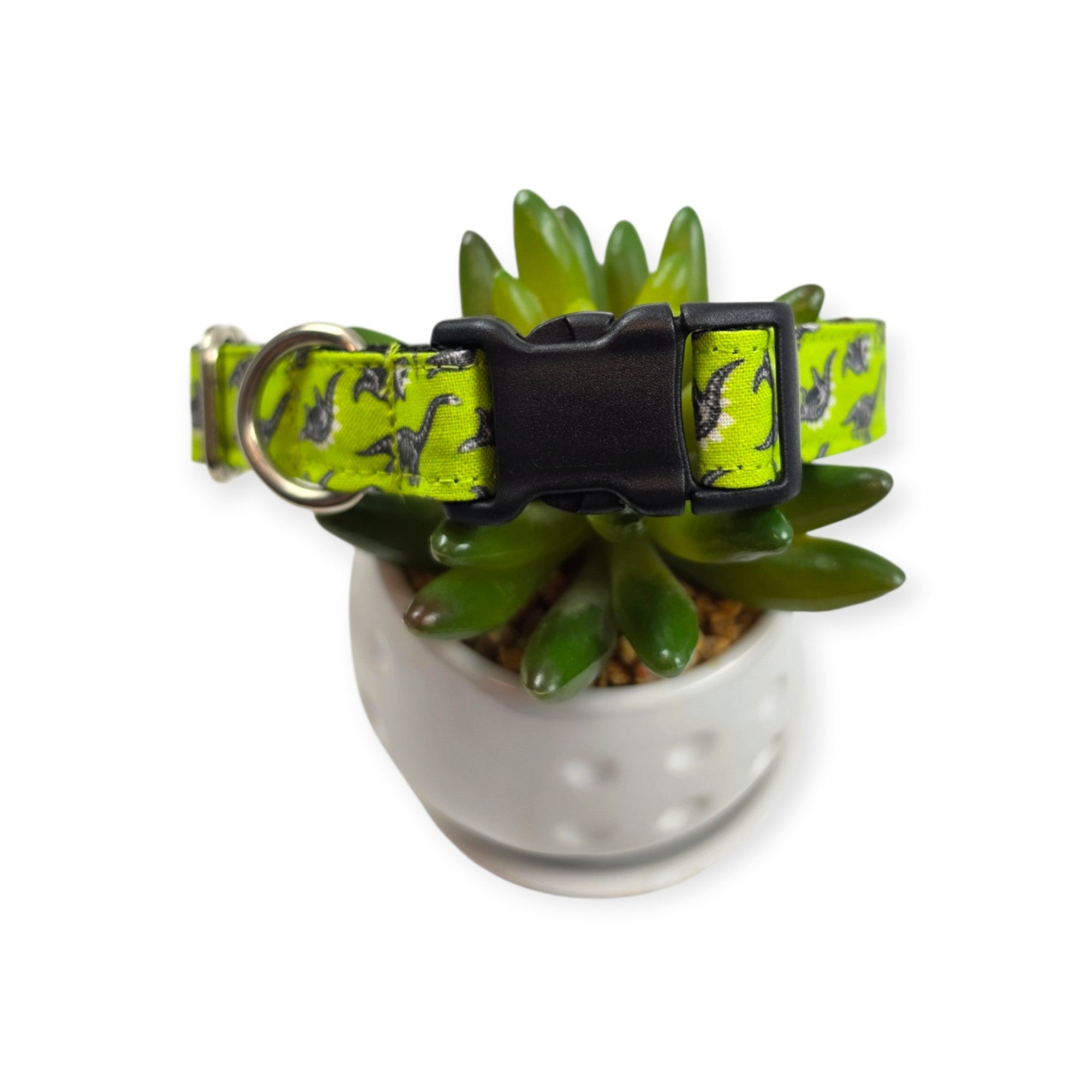 Dinosaur Skeletons Dog Collar (Medium)