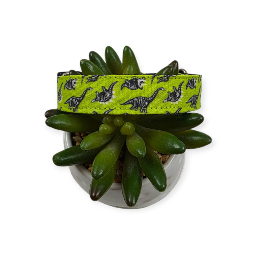 Dinosaur Skeletons Dog Collar (Medium)