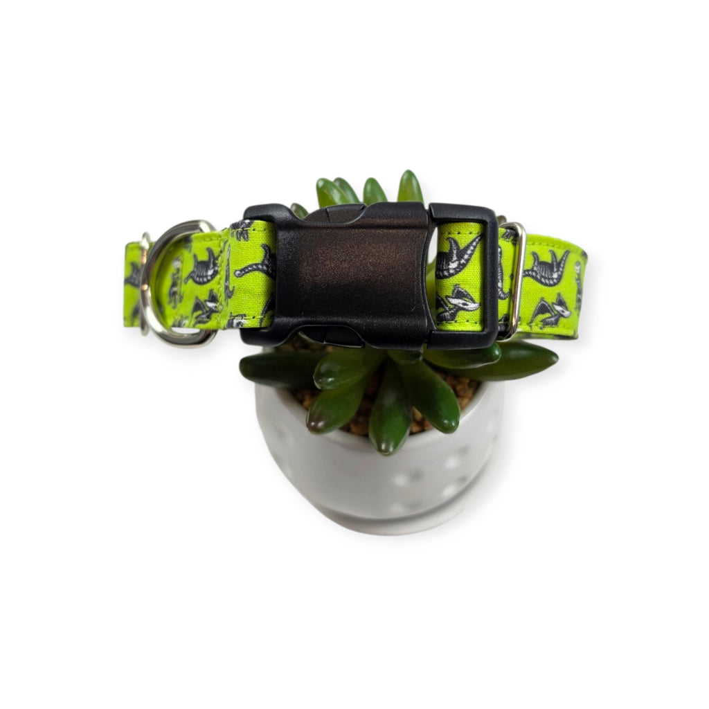 Dinosaur Skeletons Dog Collar (Large)