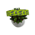 Dinosaur Skeletons Dog Collar (Large)