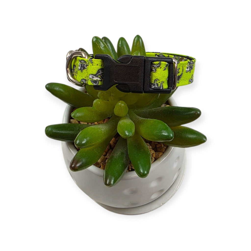 Dinosaur Skeletons Dog Collar (XX-Small)