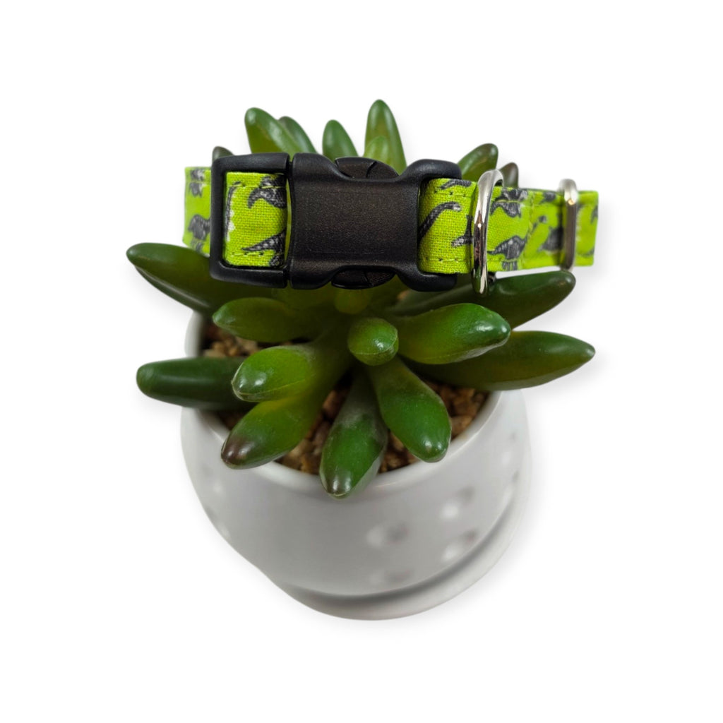 Dinosaur Skeletons Dog Collar (Small)