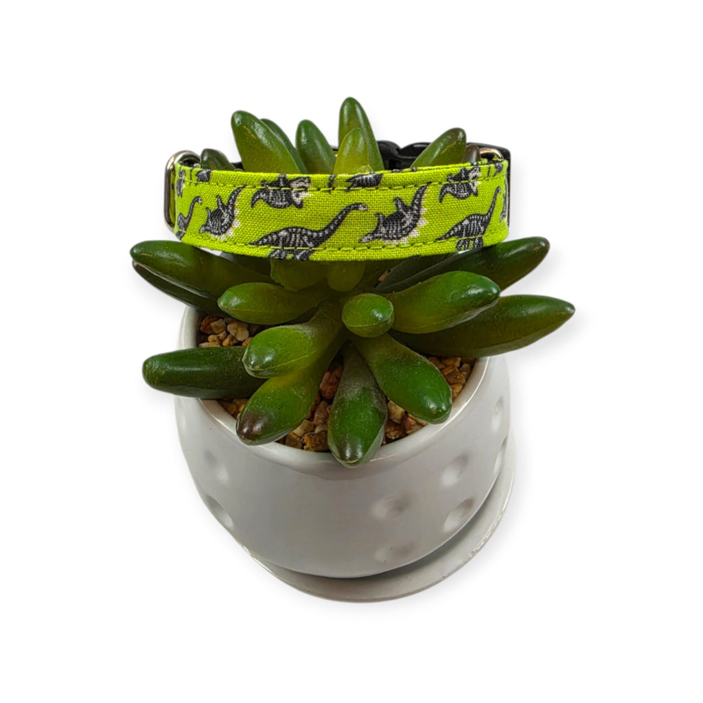 Dinosaur Skeletons Dog Collar (Small)