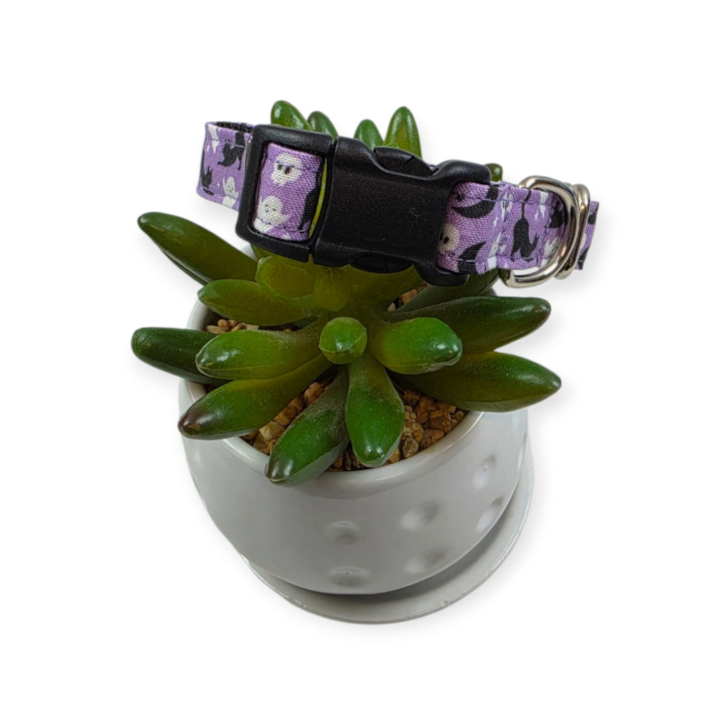 Halloween Cats and Ghosts Dog Collar (Small)