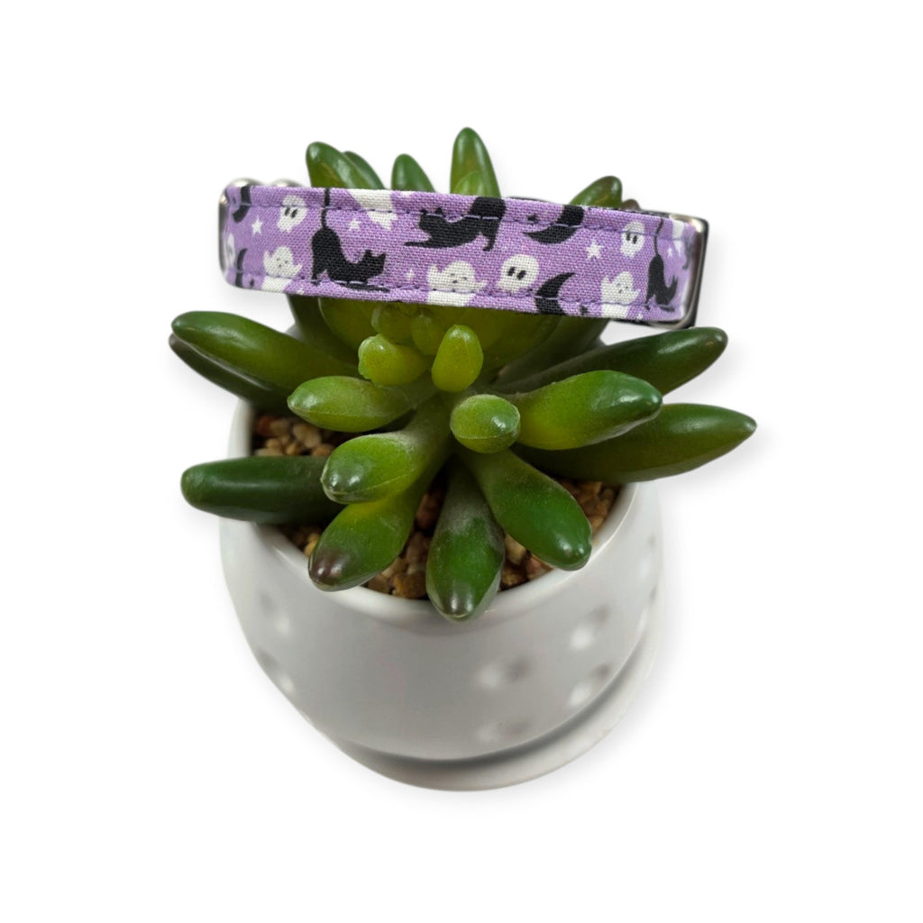 Halloween Cats and Ghosts Dog Collar (Small)
