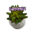 Halloween Cats and Ghosts Kitty Collar (XX-Small)